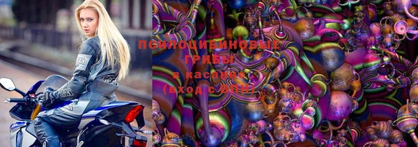 ешки Переславль-Залесский